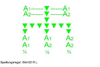 Spaltungsregel   02